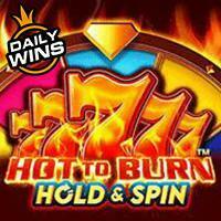 Hot To Burn Hold And Spin Pragmatic Play Demo